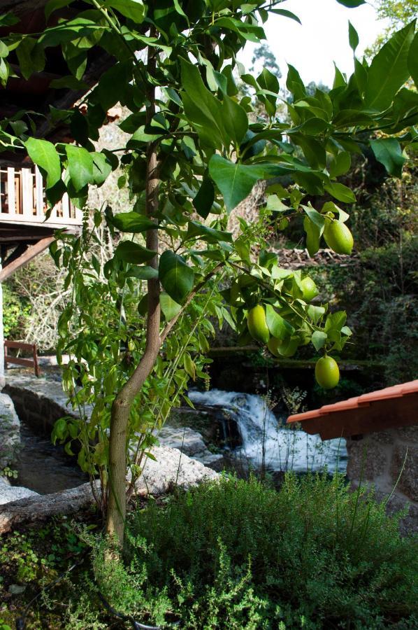 Quinta Das Bollotas Vila Fafe Exterior foto