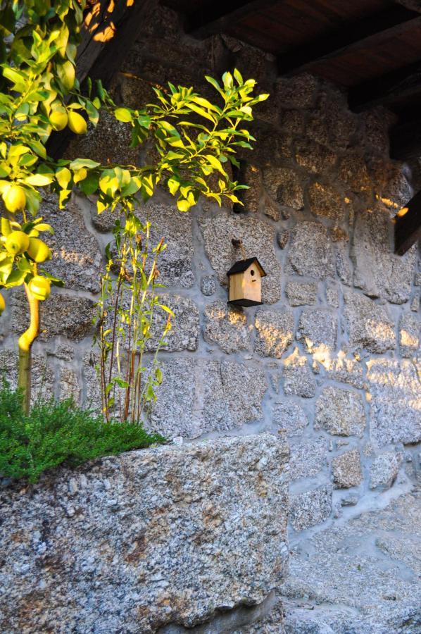 Quinta Das Bollotas Vila Fafe Exterior foto